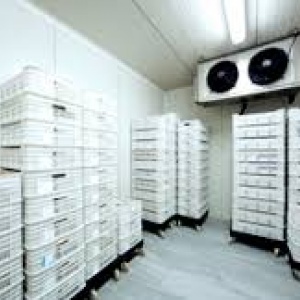 Camere frigorifice congelare - Frigosztufi